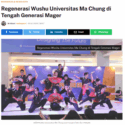 Wushu